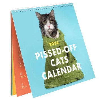 1 шт. 2024 Рассерженные кошки Календарь Креативный календарь Календарь для подвешивания кошек, 12 месяцев Кошка